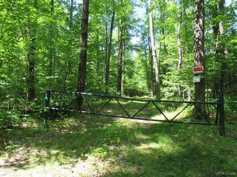 TBD Off Goldmine Road (Parcel D ), Big Bay, MI 49808