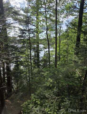 TBD W Paint Lake, Iron River, MI 49935