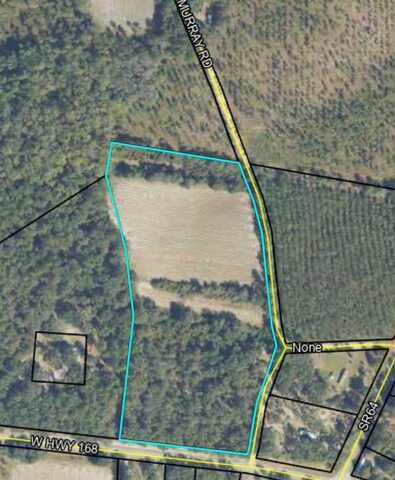 0 Hwy 168, Lakeland, GA 31635