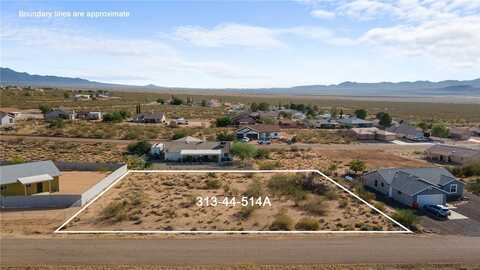 Cactus, Kingman, AZ 86401