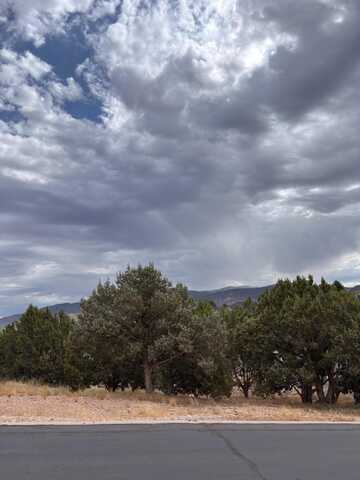 338 N Pachea Trail, Cedar City, UT 84720
