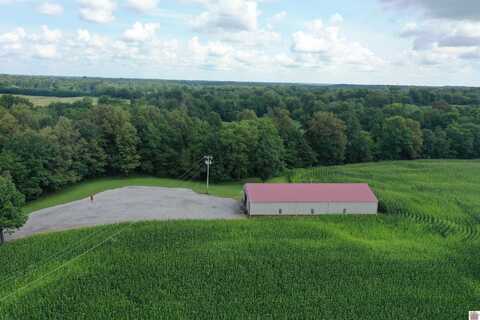 6440 State Route 121 N, Mayfield, KY 42066