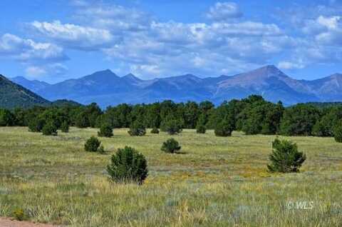 TBD 12th Trail, Cotopaxi, CO 81223