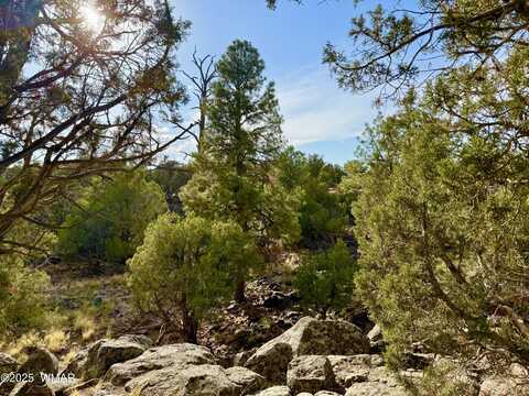 1842 Rocky Bottom Place, Show Low, AZ 85901
