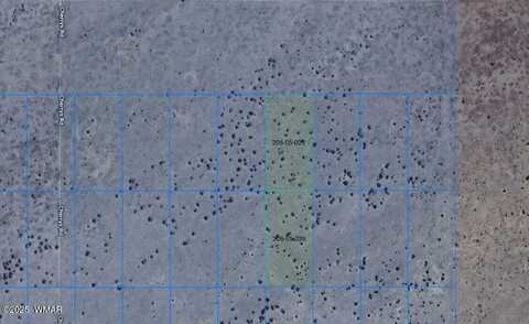 Tbd Lot 29 & 36, Adamana, AZ 86028