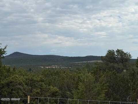 Tbd CR 3076-D, Vernon, AZ 85940