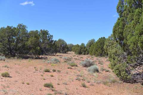 4027 Indian Bend Road, Snowflake, AZ 85937