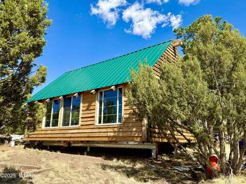 Tbd Co Rd N3109 9.11 Acres, Vernon, AZ 85940