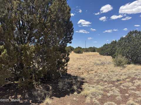 8513 Ossendorf Place, Show Low, AZ 85901