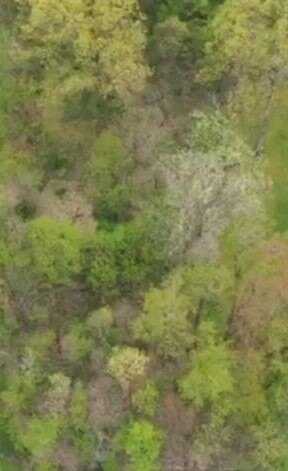 982-983 Peach Drive, Shenango, PA 16134