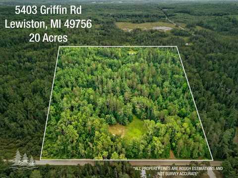 5403 Griffin Road, Lewiston, MI 49756