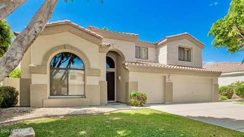 705 W DESERT BROOM Drive, Chandler, AZ 85248
