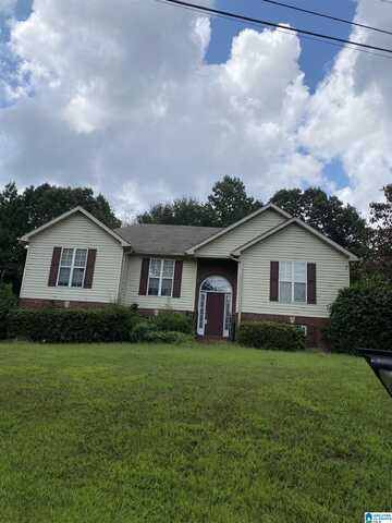 245 TURKEY TRAIL ROAD, ODENVILLE, AL 35120