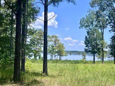 LOT 4 EAGLE BROOK Drive, Lewisville, AR 71845