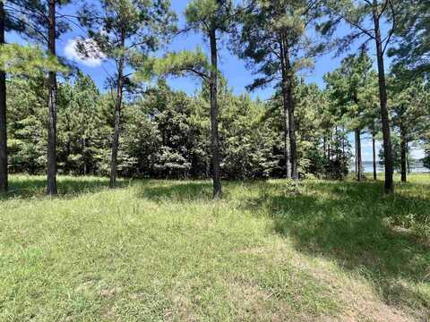 Lot 3 Eagle Brook, Lewisville, AR 71845