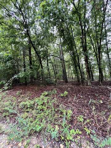000 Chock Road, Paron, AR 72122