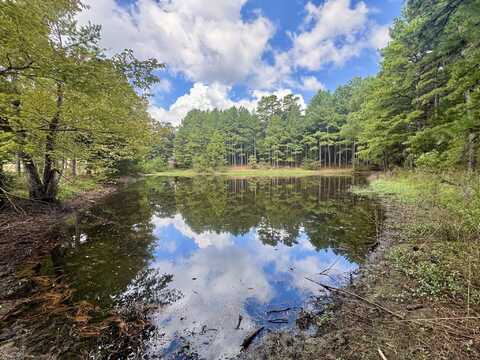 398 Pine Tree Road, Oxford, AR 72565