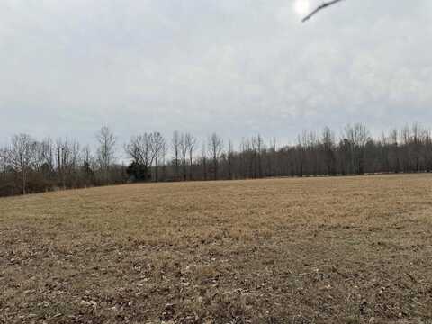 TBD Greene 611 Rd, Paragould, AR 72450