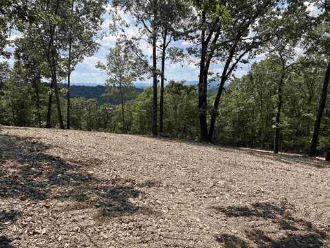 NC 4055, Western Grove, AR 72685
