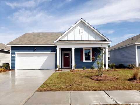 287 Ridley St, Longs, SC 29568