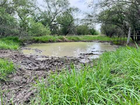 undefined, Concepcion, TX 78349