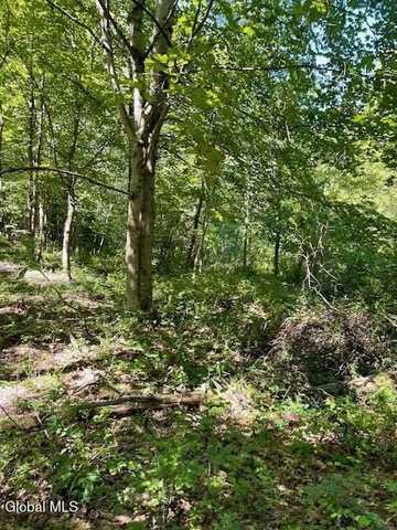 L35 Off Harring Extension, Cairo, NY 12413