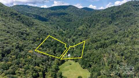 614 Upper Doe Bag Road, Green Mountain, NC 28740