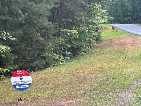 S Pointe Road lot: S 11/12, Mill Spring, NC 28756