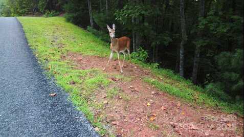 S Pointe Road lot: S 11/12, Mill Spring, NC 28756