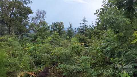 Brighton Drive, Rutherfordton, NC 28018