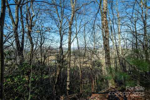 Three Mile Knob Road unit: L1, Brevard, NC 28712