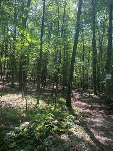 Lot 2 Chalybes Road West, Roxbury, CT 06783