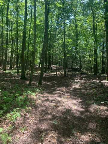 Lot 1 Chalybes Road West, Roxbury, CT 06783
