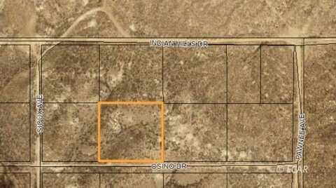 035-001-006 SEC 3 TWP 35N RGE 56E, Ryndon, NV 89801