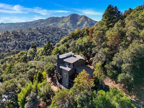 78 Greenwood Way, Mill Valley, CA 94941
