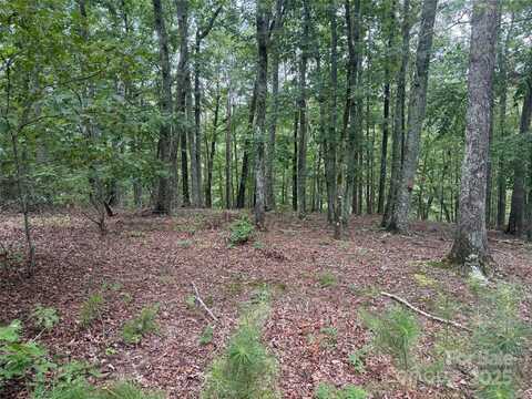 1187 Grandview Peaks Drive 187, Nebo, NC 28761