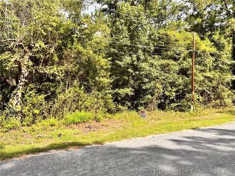 8061 S Green Acres Road, Laurinburg, NC 28352