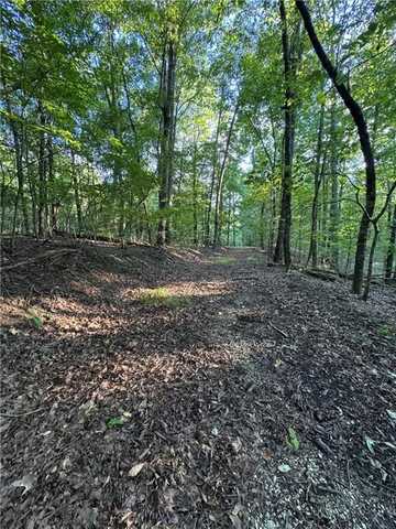 0 Bull Gap Road, Talking Rock, GA 30175