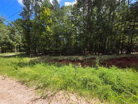 00 Tim Prince Drive, Elberton, GA 30635
