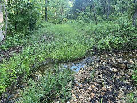 000 Country Road P-305, Ava, MO 65608