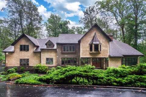 133 Rippling Brook Way, Bernardsville, NJ 07924