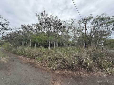 94-6300 PELE ST, Naalehu, HI 96772