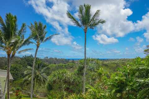 3-3400 KUHIO HWY unit: A104, Lihue, HI 96766