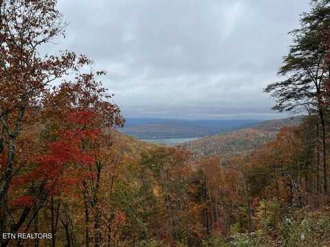 Lot 1070 Birds Eye Way, Guild, TN 37340