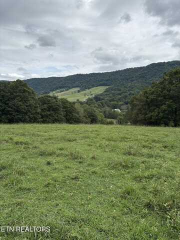 Buchanan Ridge Rd, Tazewell, TN 37879