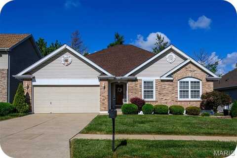 8419 Weber Trail Drive, Saint Louis, MO 63123