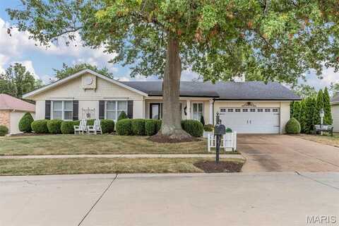 2110 Woodlet Park Drive, Chesterfield, MO 63017