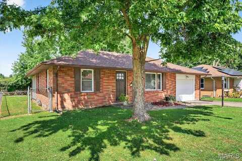 125 Roberts Street, Jerseyville, IL 62052