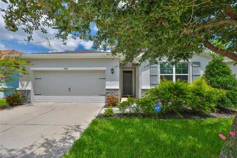 11890 FROST ASTER DRIVE, RIVERVIEW, FL 33579