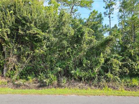 801 FRANZ STREET, BUNNELL, FL 32110